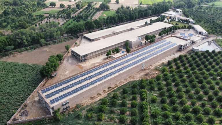 160 KW on Poultry Farm